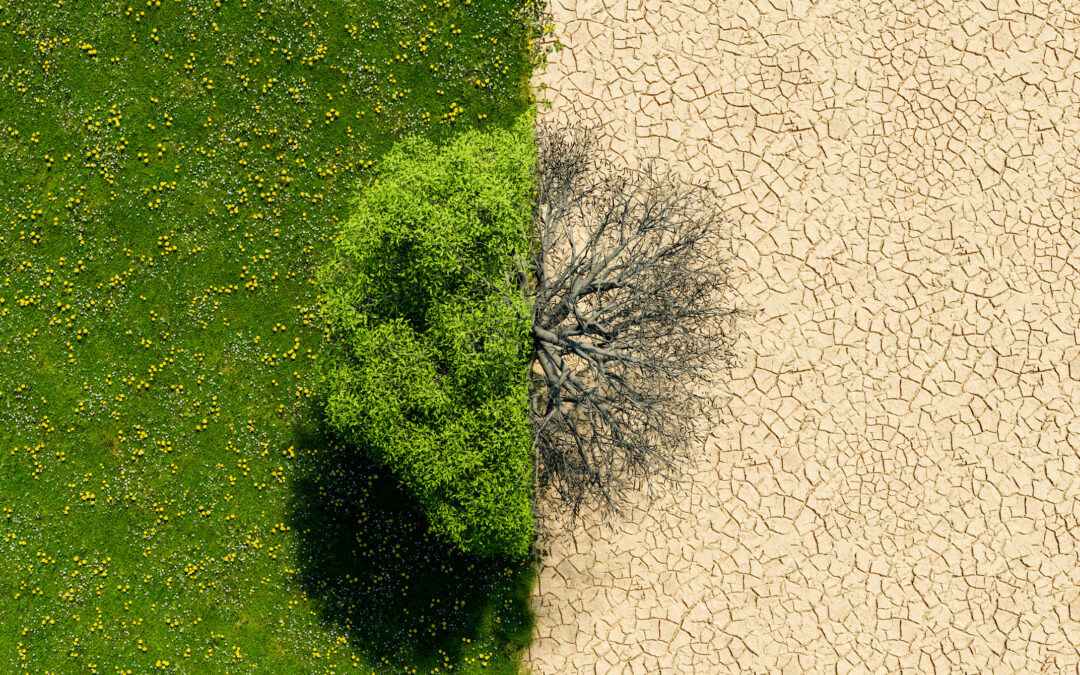 Cómo la eficiencia energética contribuye a la mitigación del cambio climático